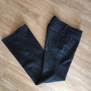 Ann Taylor Jeans